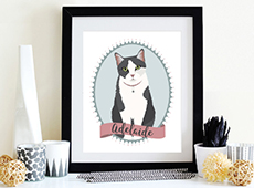 Custom Cat Portrait Illustration